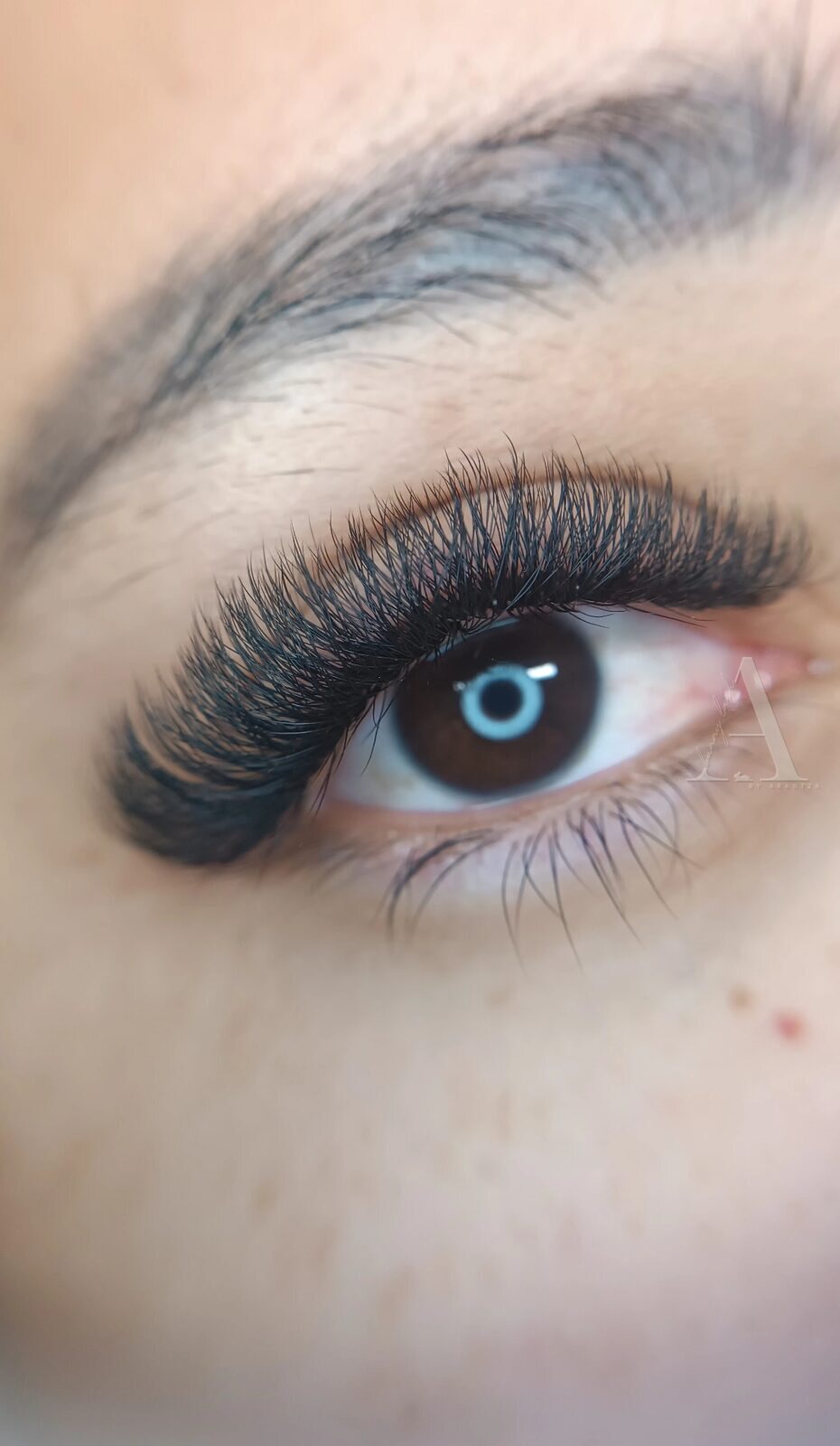 Set de volumen árabe 5D hecho en Bunny Lash