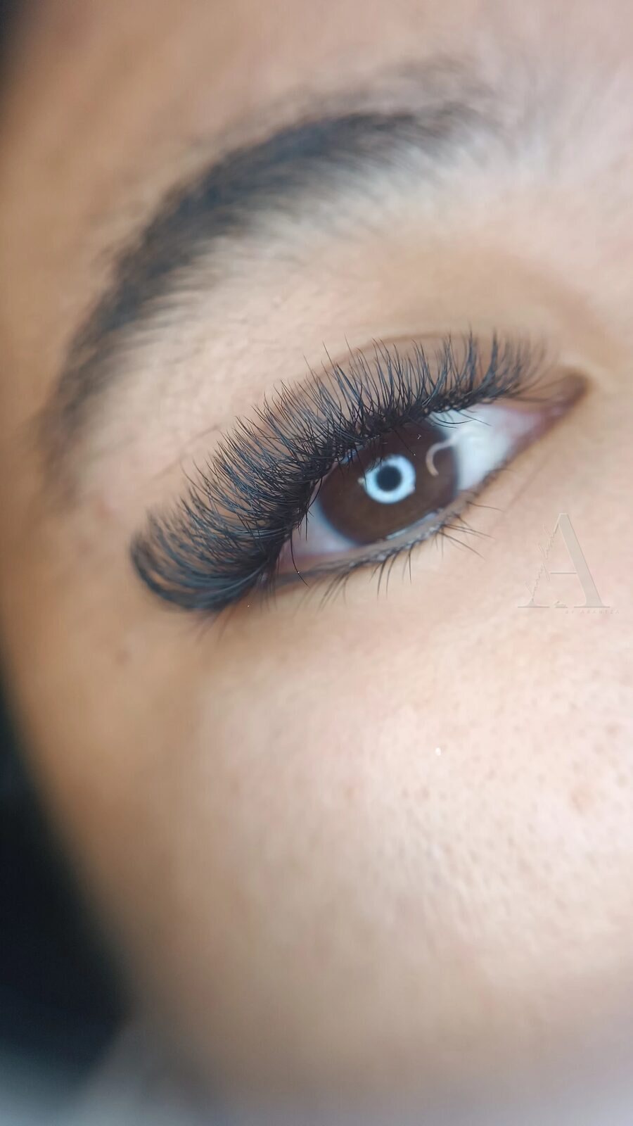 Set de volumen egipcio 4D hecho en Bunny Lash